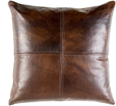 Birch lane best sale throw pillows